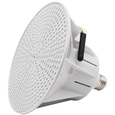 LEIDENE van AC/DC 12V/24V IP68 Poolverlichting